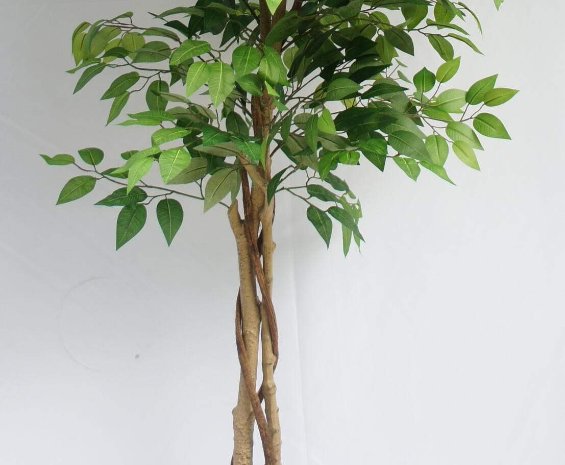 Artificial Greenery Ficus Tree, 120 CM, 150 CM, 180 CM Artificial Greenery Ficus Tree, 120 CM, 150 CM, 180 CM