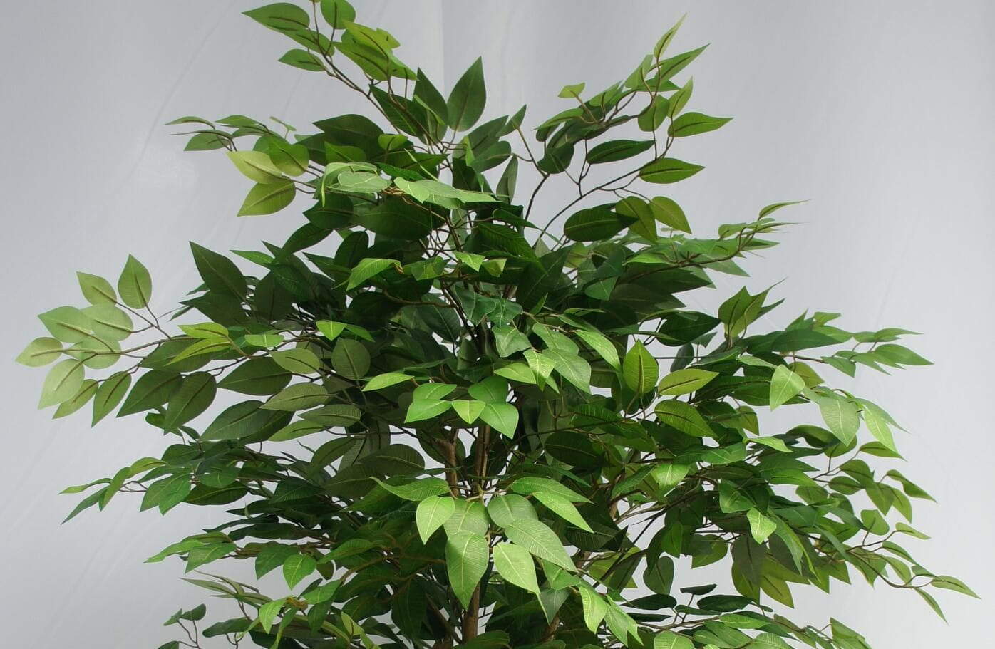 Artificial Greenery Ficus Tree, 120 CM, 150 CM, 180 CM Artificial Greenery Ficus Tree, 120 CM, 150 CM, 180 CM