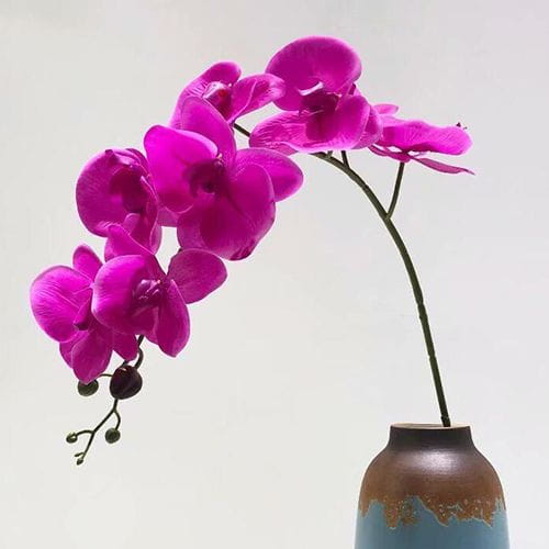 Artificial Moth Orchids, 86CM