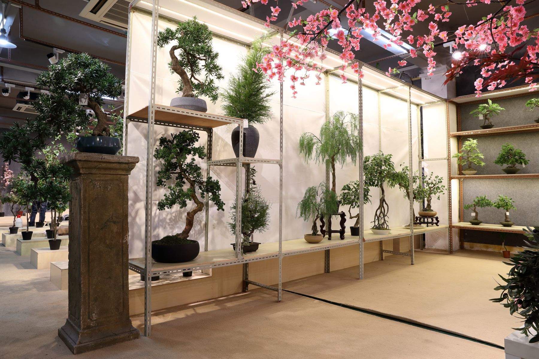 Do you forget to water your plants， after some time turn into dry?