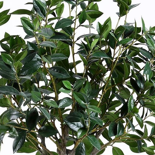 Artificial Sweet Bay Plant, 180CM