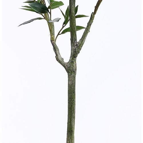 Artificial Sweet Bay Tree, 150CM