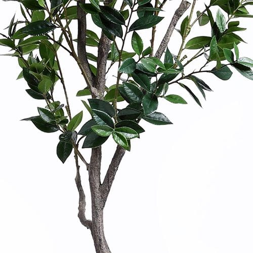 Artificial Sweet Bay Tree 210CM, Plastic Pot
