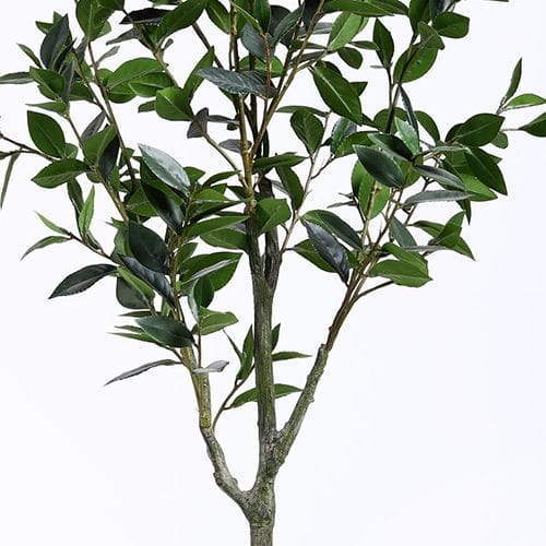 Artificial Sweet Bay Tree, 150CM