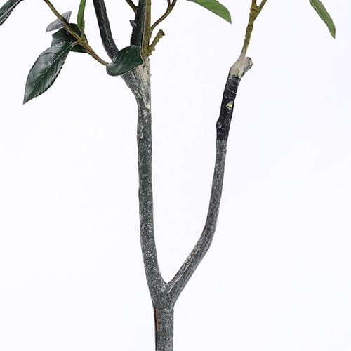 Artificial Sweet Bay Tree, 120CM