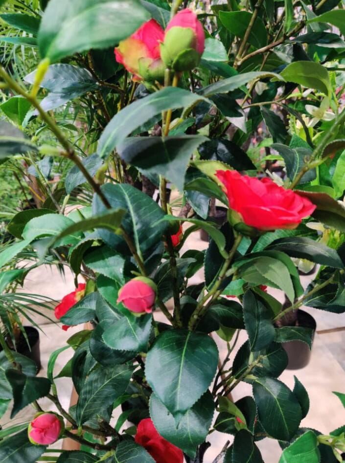 CAWH Fair Guangzhou China Import and Export World Fair Sharetrade Artificial Plants - Largest Artificial Plant Manufacturer & Supplier in China