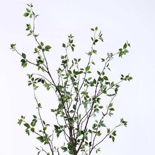 Artificial Toona Sinensis, 210CM