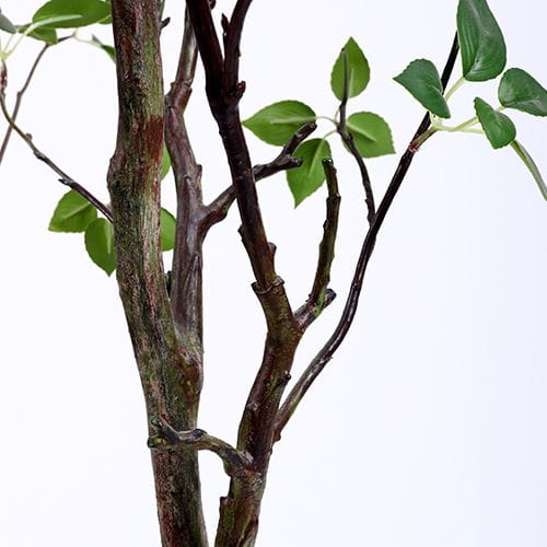 Artificial Cedar Tree, Plastic Pot