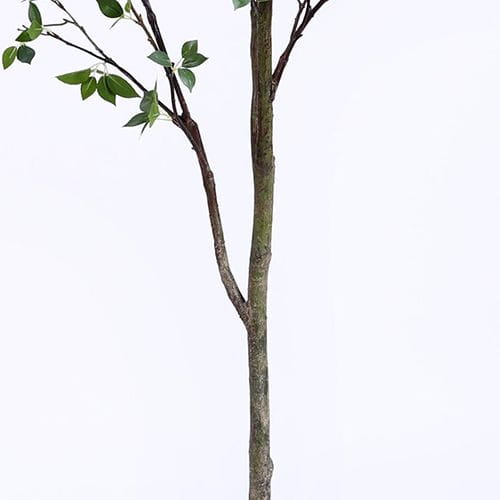 Artificial Toona Sinensis, 210CM