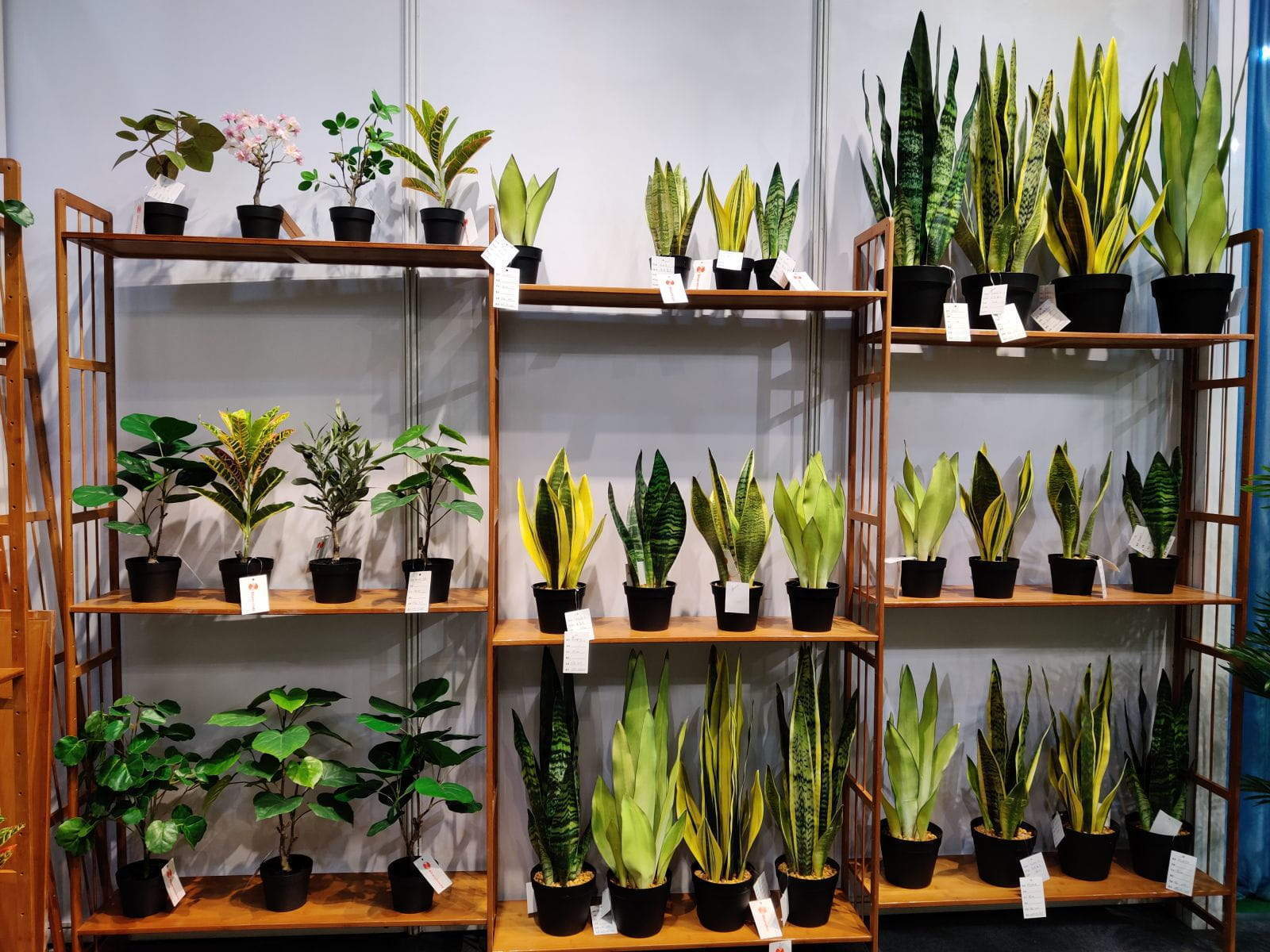 Artificial Snake Plant, 45 CM Artificial Snake Plant, 45 CM