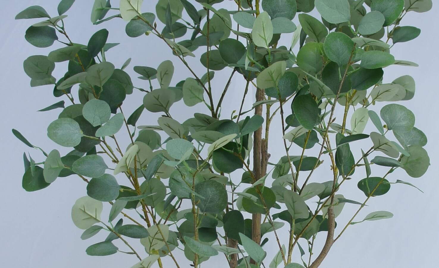 Faux Genus Eucalyptus, 180 CM Faux Genus Eucalyptus, 180 CM