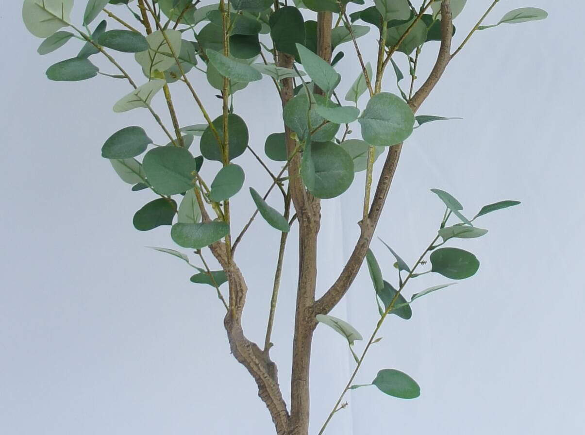 Faux Genus Eucalyptus, 180 CM Faux Genus Eucalyptus, 180 CM