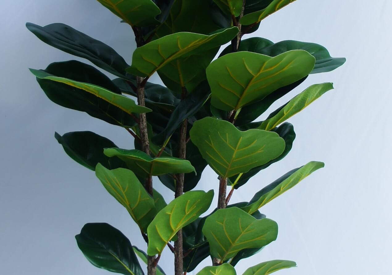 Artificial Ficus Lyrata Tree, 180 CM