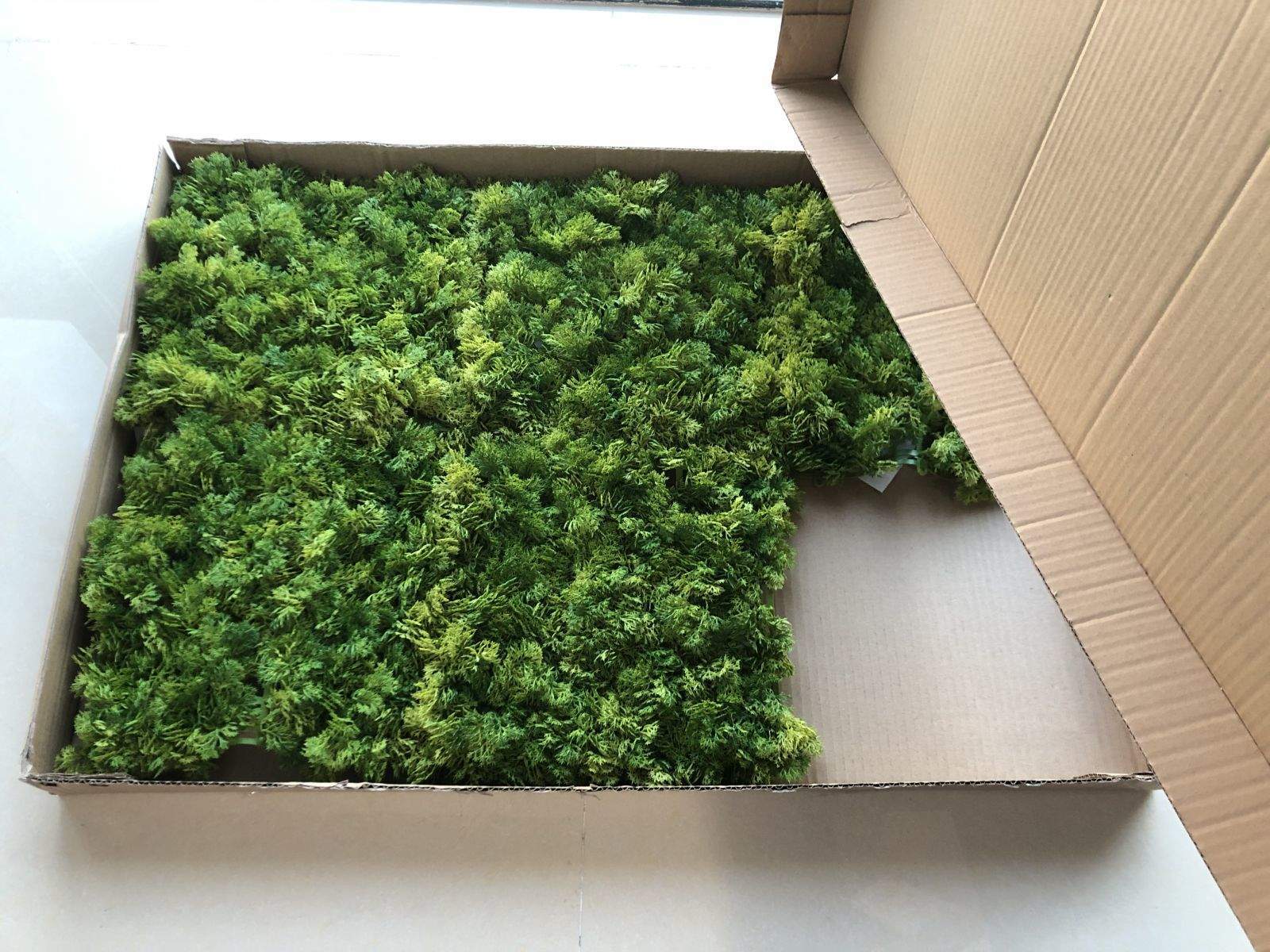 2021 New Design Artificial Moss