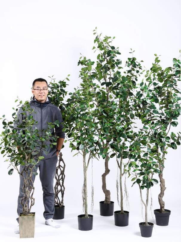 2020 Artificial Plants from Sharetrade 2020 Artificial Plants from Sharetrade