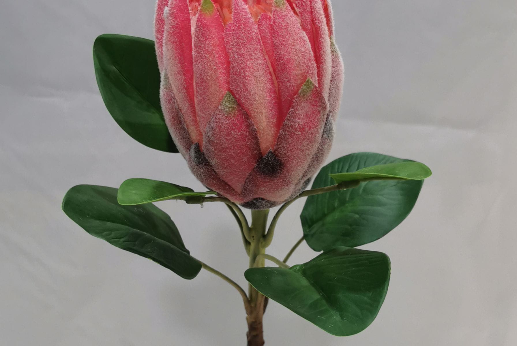 Artificial King Protea Branch, 28.5 CM Artificial King Protea Branch, 28.5 CM