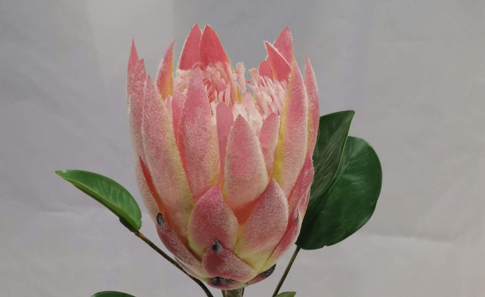 Artificial King Protea Branch, 28.5 CM Artificial King Protea Branch, 28.5 CM