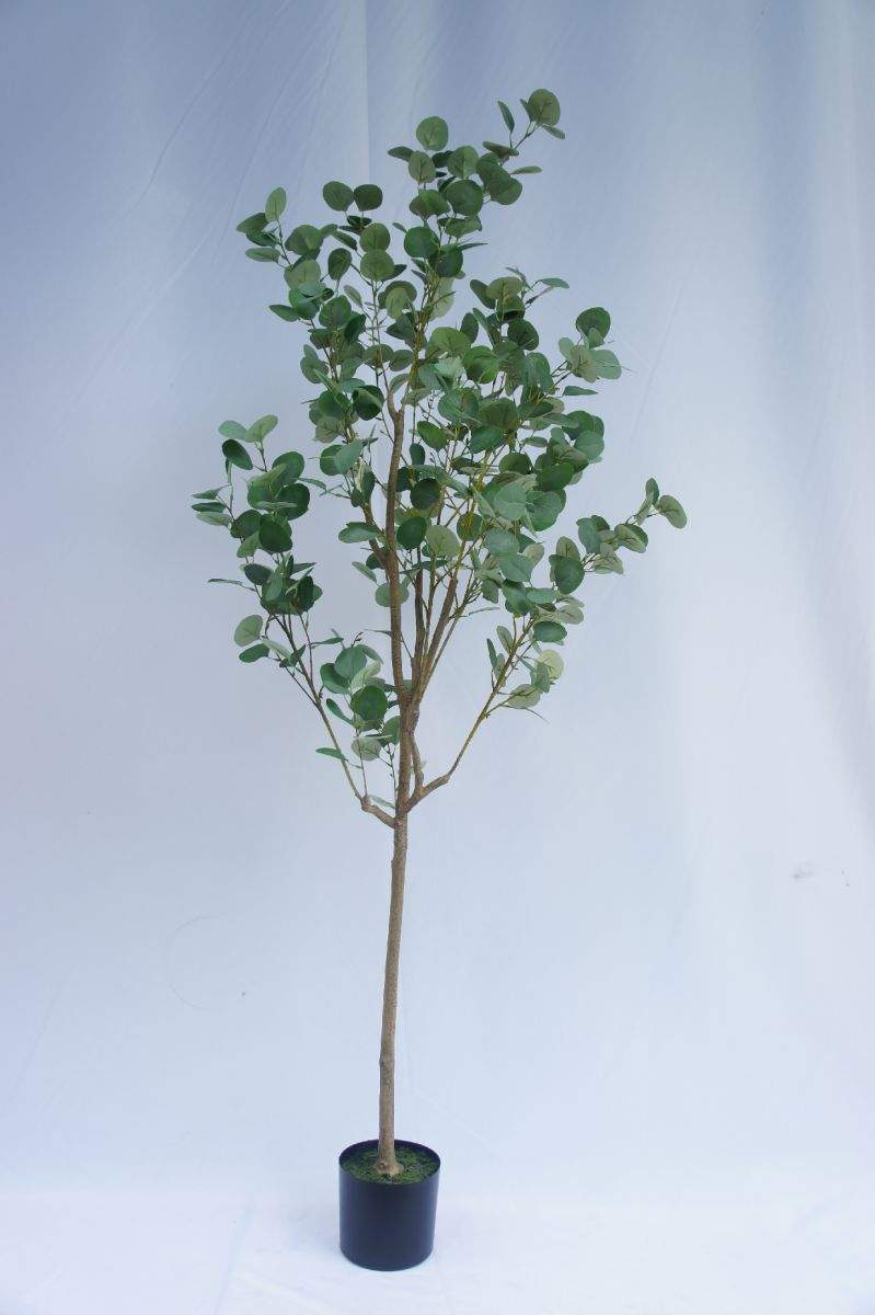 Faux Genus Eucalyptus, 180 CM Faux Genus Eucalyptus, 180 CM