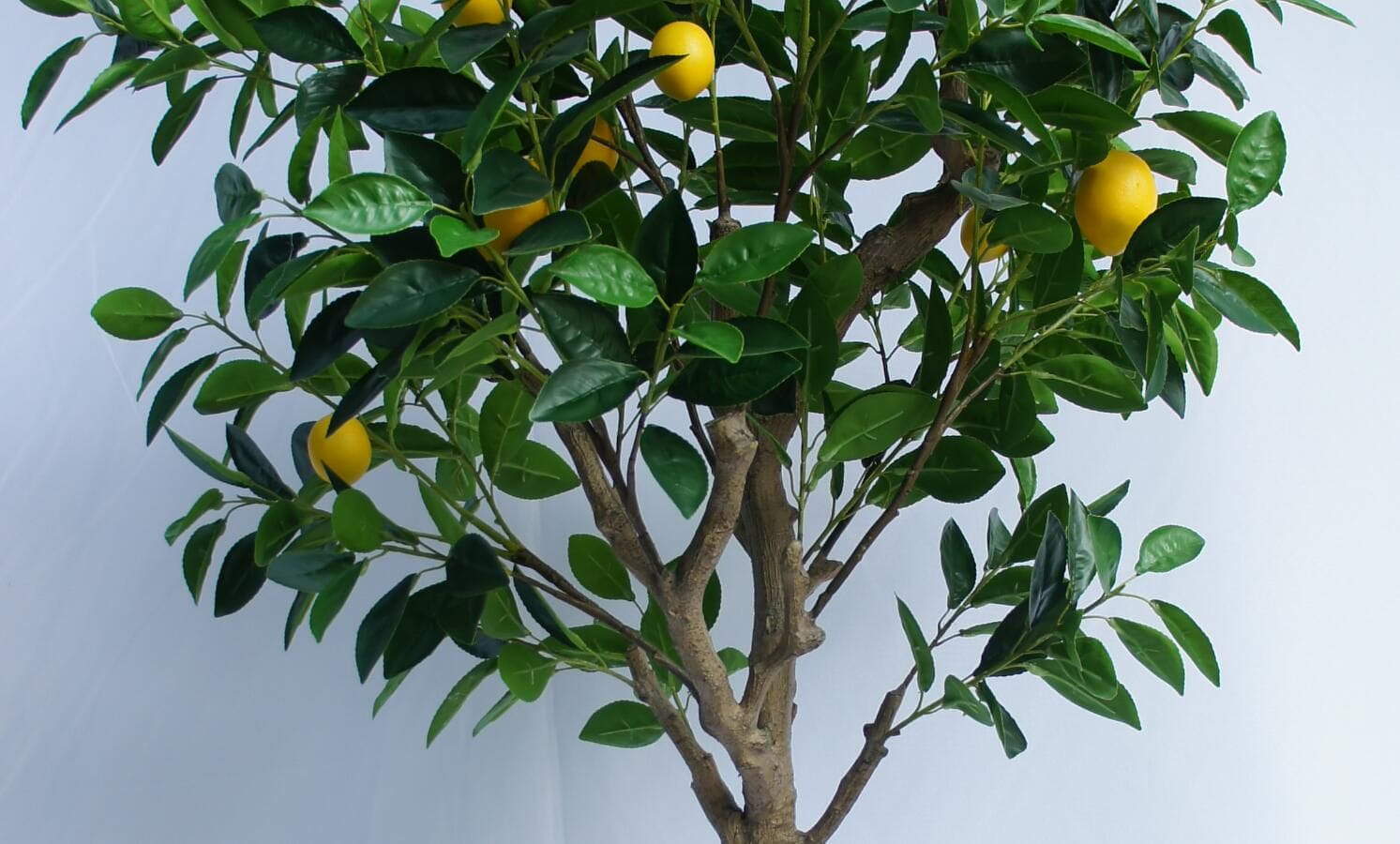 Artificial Λεμονιά Lemon Tree, 180 CM - Sharetrade