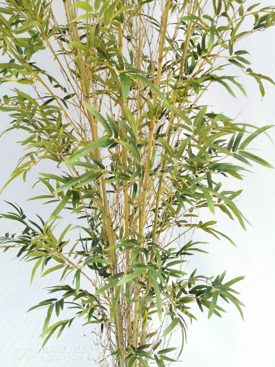 Artificial Bamboo Tree, 300 CM Artificial Bamboo Tree, 300 CM