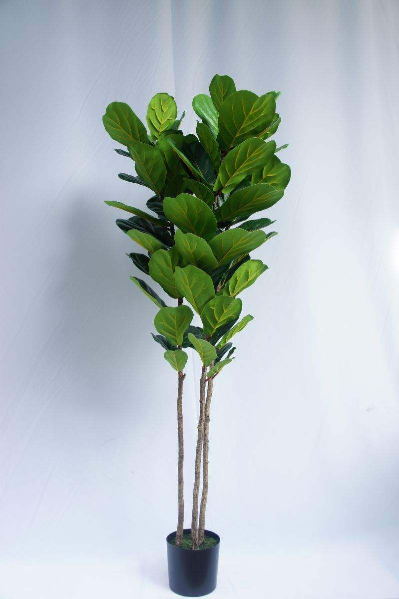Figuier Lyre Artificiel Grand 180 Cm - Faux Ficus Lyrata Dense Pour Déco Intérieur/extérieur - Plante Verte Salon/bureau