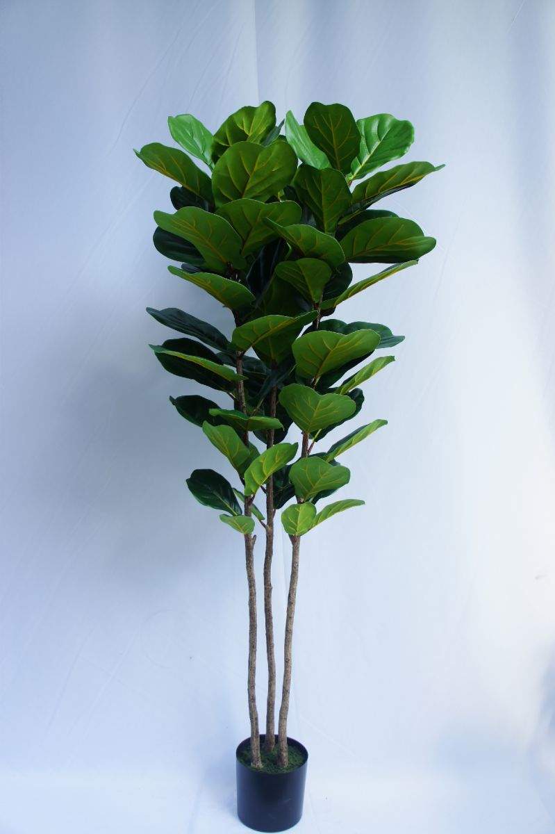 Artificial Ficus Lyrata Tree, 180 CM