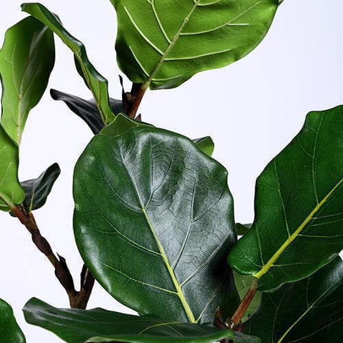 Faux Fiddle Leaf Fig Tree