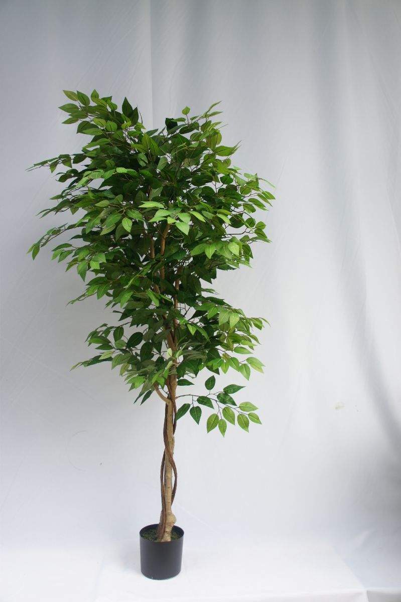 Artificial Greenery Ficus Tree, 120 CM, 150 CM, 180 CM Artificial Greenery Ficus Tree, 120 CM, 150 CM, 180 CM