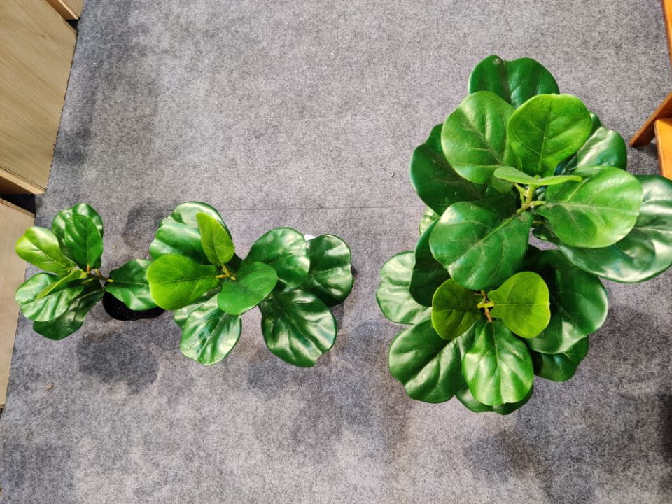 Artificial New Fiddle-leaf Fig Bonsai High Quality 30~60 CM Potted Artificial New Fiddle-leaf Fig Bonsai High Quality 30~60 CM Potted