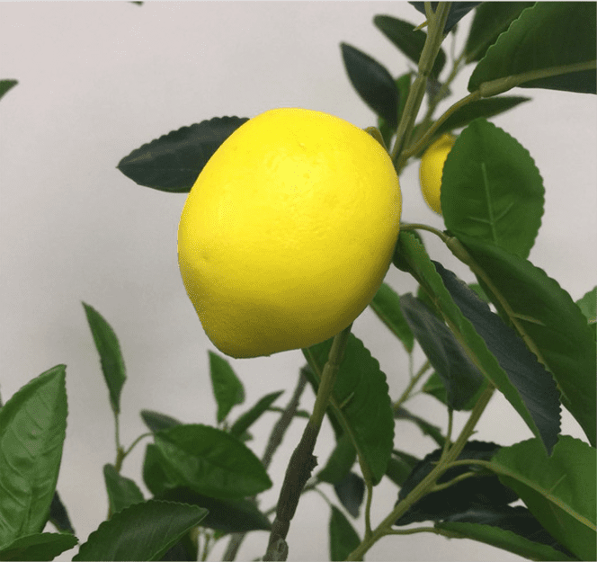 Artificial Sweet Lemon Tree, 135 CM, 165 CM