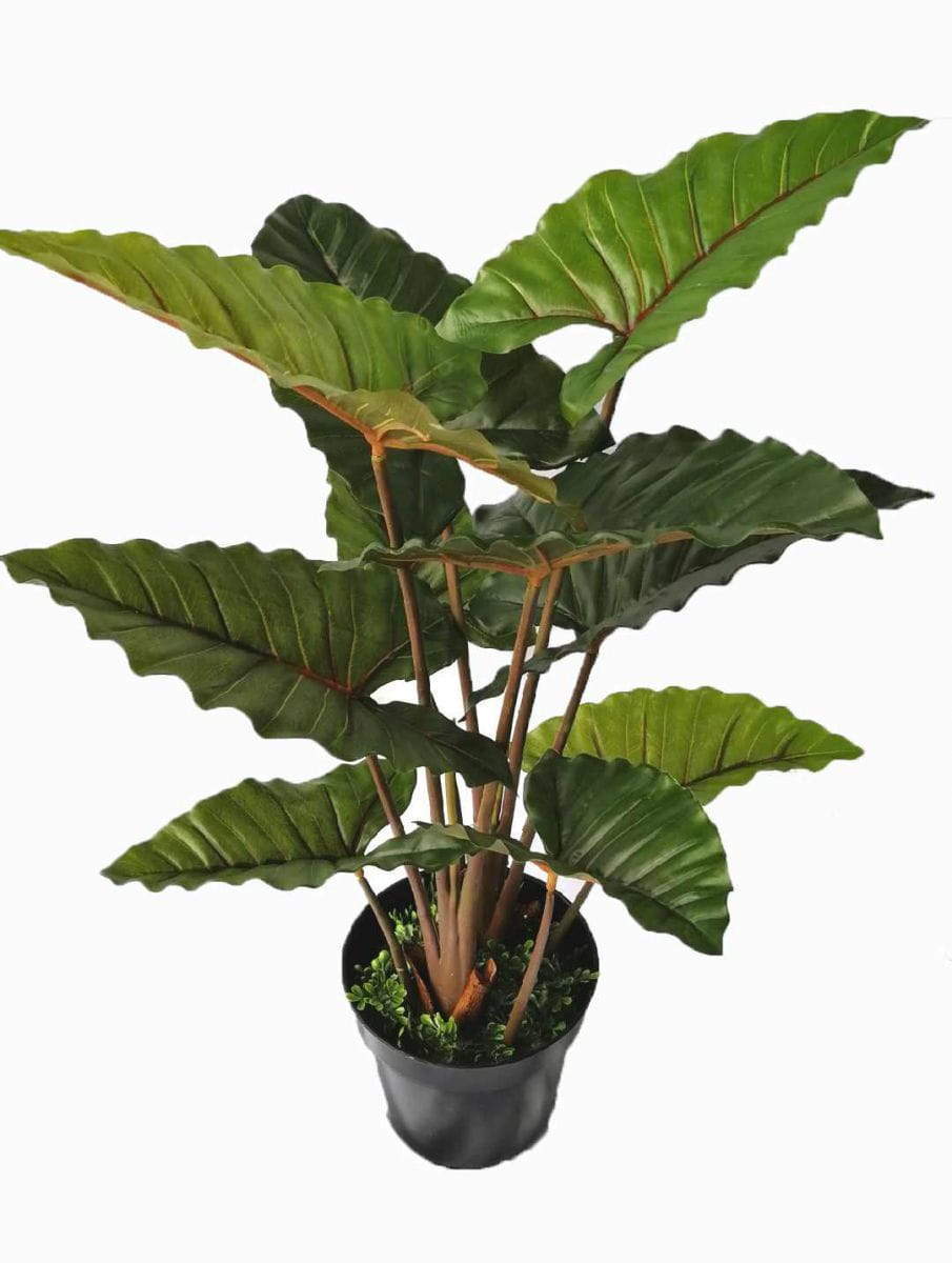 Faux Colocasia Tonoimo, Ten Leaves Faux Colocasia Tonoimo, Ten Leaves