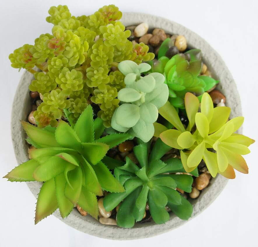 Artificial Potted Succulents Mini Realistic Fake Plants Artificial Potted Succulents Mini Realistic Fake Plants
