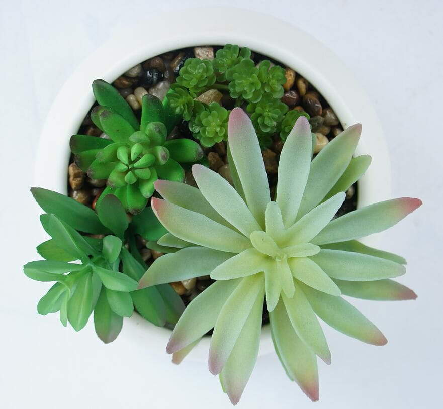 Potted Artificial Succulents Plants Home and Office Decoration
