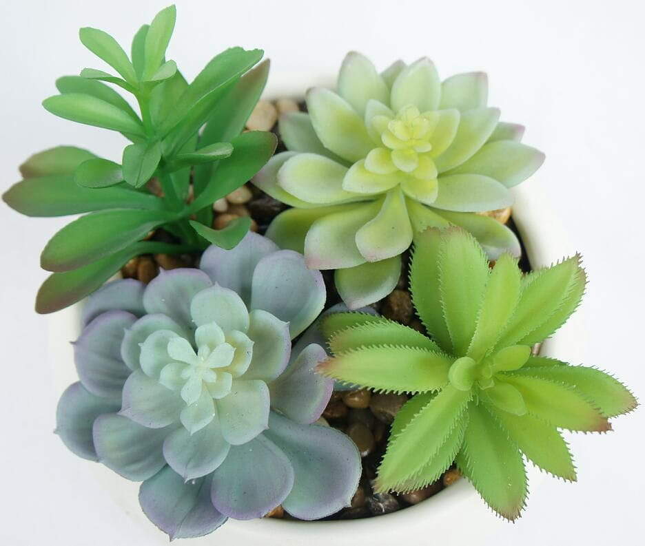 Artificial Realistic Textured Succulents Plants Artificial Realistic Textured Succulents Plants