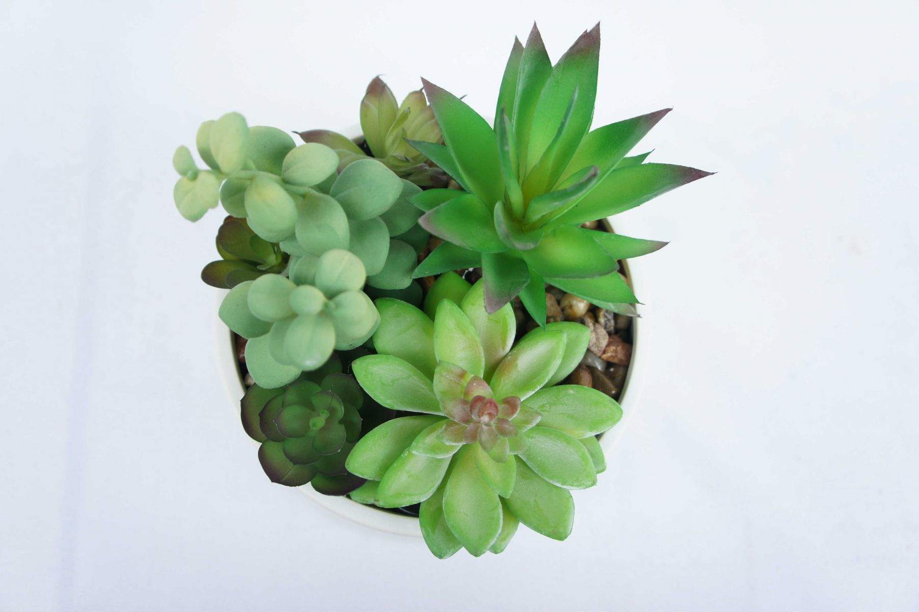 Artificial Succulent Faux Plant Succulent Mix in Planter Artificial Succulent Faux Plant Succulent Mix in Planter