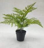 Sharetrade Artificial Fern Plants JC003 25 CM ~ 120CM