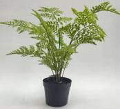 Sharetrade Artificial Fern Plants JC003 25 CM ~ 120CM