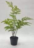 Sharetrade Artificial Fern Plants JC003 25 CM ~ 120CM