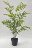 Sharetrade Artificial Fern Plants JC003 25 CM ~ 120CM