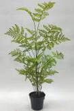 Sharetrade Artificial Fern Plants JC003 25 CM ~ 120CM
