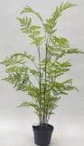 Sharetrade Artificial Fern Plants JC003 25 CM ~ 120CM