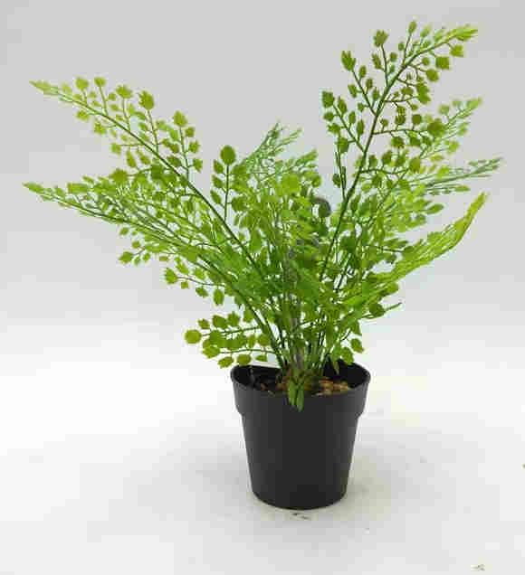 2020 Artificial Fern Plants 25 CM ~ 120 CM, Potted Indoor Outdoor Trees