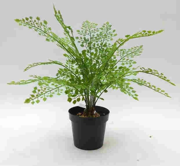 2020 Artificial Fern Plants 25 CM ~ 120 CM, Potted Indoor Outdoor Trees