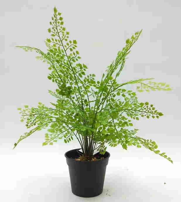 2020 Artificial Fern Plants 25 CM ~ 120 CM, Potted Indoor Outdoor Trees