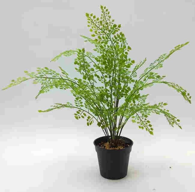 2020 Artificial Fern Plants 25 CM ~ 120 CM, Potted Indoor Outdoor Trees