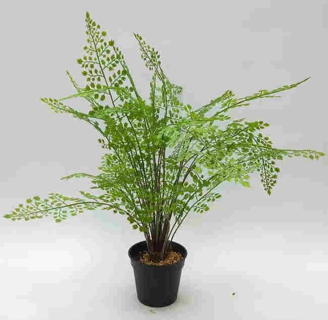 2020 Artificial Fern Plants 25 CM ~ 120 CM, Potted Indoor Outdoor Trees