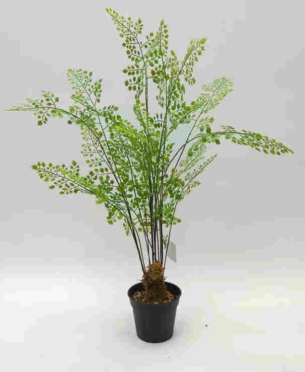 2020 Artificial Fern Plants 25 CM ~ 120 CM, Potted Indoor Outdoor Trees
