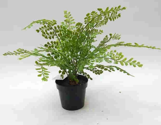 2020 Artificial Fern Plants 25 CM ~ 120 CM, Potted Indoor Outdoor Trees