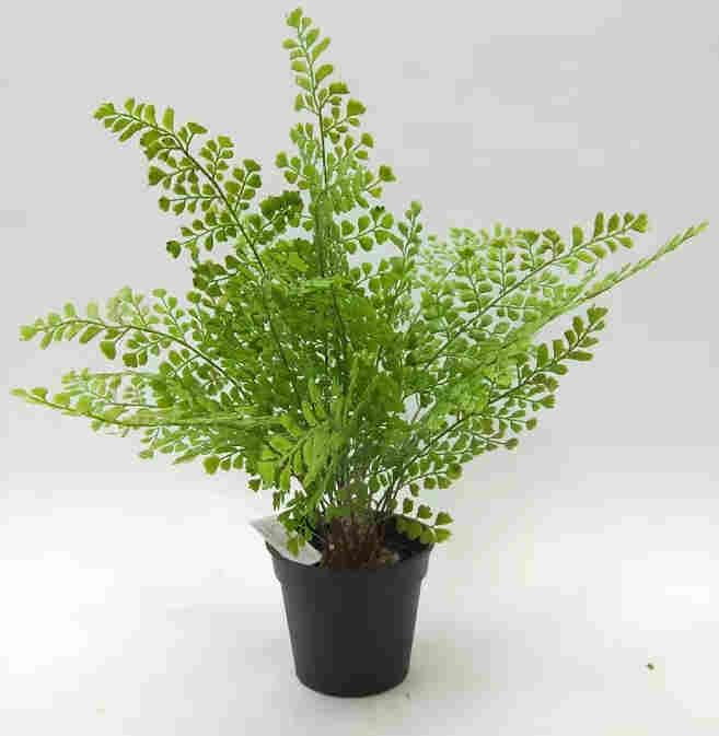 2020 Artificial Fern Plants 25 CM ~ 120 CM, Potted Indoor Outdoor Trees