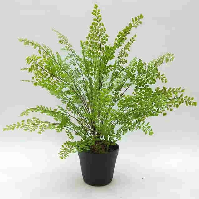 2020 Artificial Fern Plants 25 CM ~ 120 CM, Potted Indoor Outdoor Trees